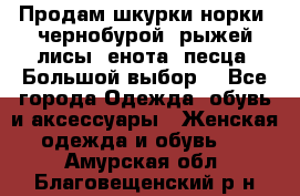 Продам шкурки норки, чернобурой, рыжей лисы, енота, песца. Большой выбор. - Все города Одежда, обувь и аксессуары » Женская одежда и обувь   . Амурская обл.,Благовещенский р-н